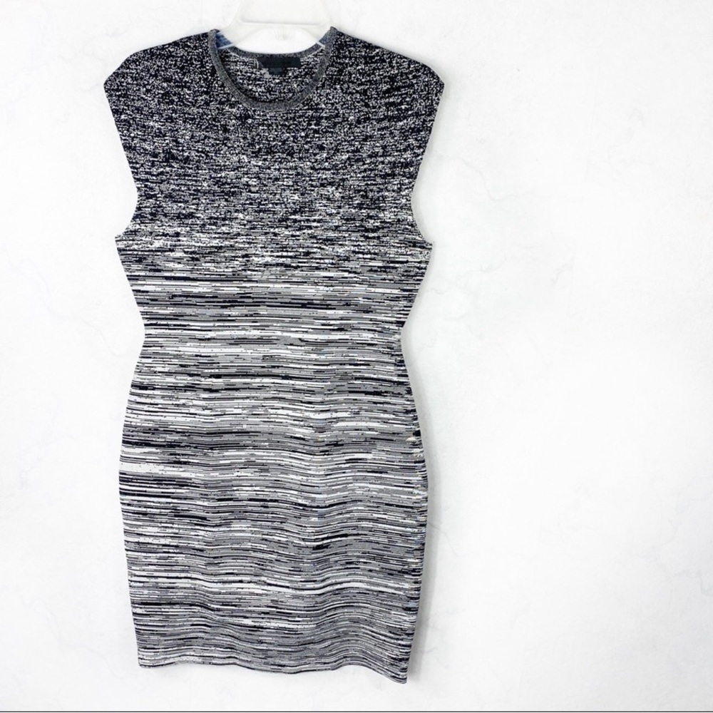 Alexander Wang Black and White Gradient Mini Dress